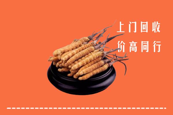 高价求购：石峰区回收散虫草