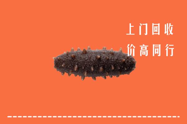 高价求购：石峰区回收海参