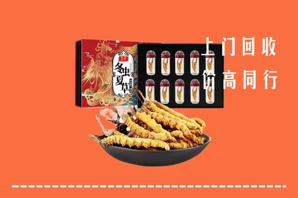 石峰区回收虫草